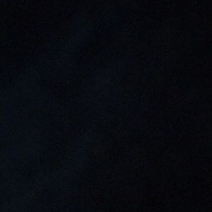 Meet your Posher, Damon